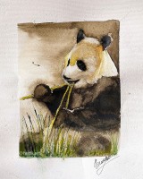 B72E75DF-3CDB-44D4-AC48-2BA17704E398