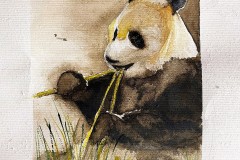 B72E75DF-3CDB-44D4-AC48-2BA17704E398