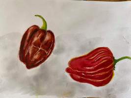 received_494320671977025