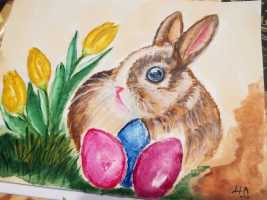 IMG-20210308-WA0004